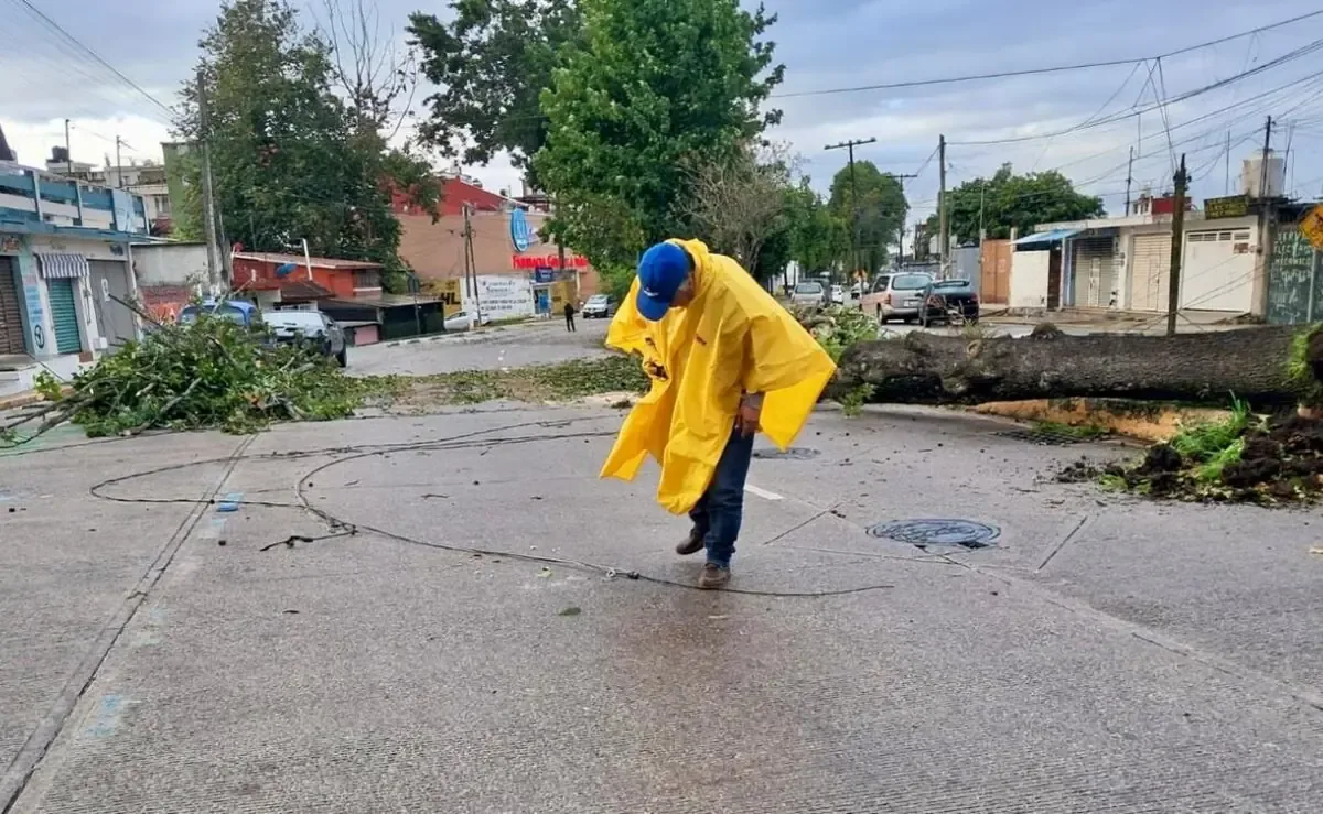 El fuerte frente frío generó lluvias y vientos que provocaron la tragedia en Villa Allende, Coatzacoalcos.