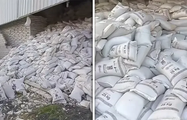 Productores de frijol en Zacatecas protestan por la falta de pagos y distribución del producto.