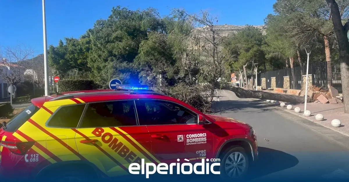 Fuertes rachas de viento ocasionan caídas de árboles y evacuaciones en Castellón.