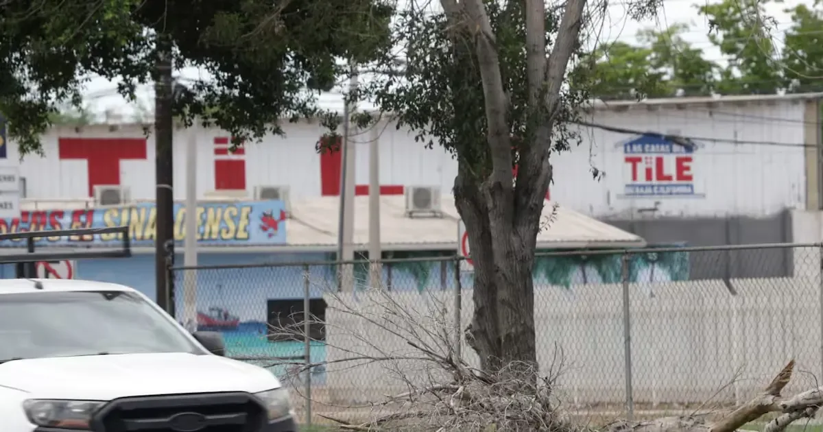 Los vientos de hasta 70 km/h provocan caídas de árboles y postes, interrumpiendo el servicio de electricidad en varias zonas.