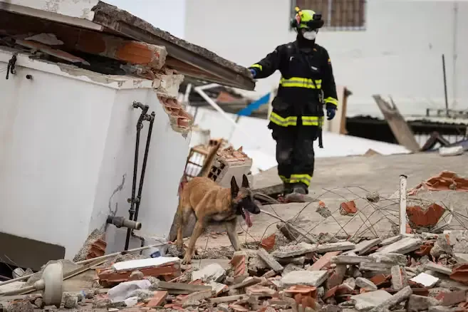 La demanda de cremaciones y entierros supera la capacidad de los cementerios en Caracas tras los sismos que dejaron más de 1,700 fallecidos.
