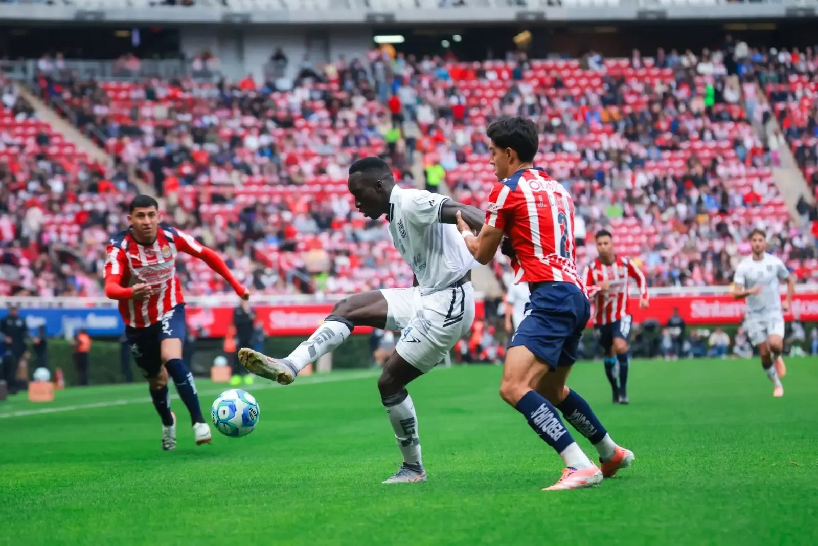 Gallos Blancos y Chivas durante el emotivo partido en el Estadio Akron.