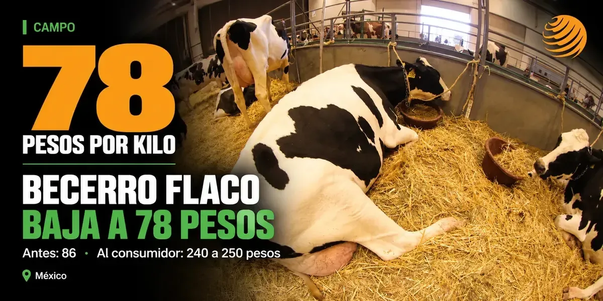 La situación provoca preocupación en productores y un incremento de carne importada.