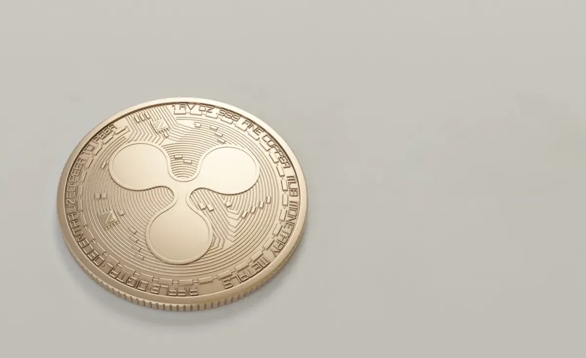 El CEO de Ripple señala que la elección del activo depende de las necesidades de cada transacción.