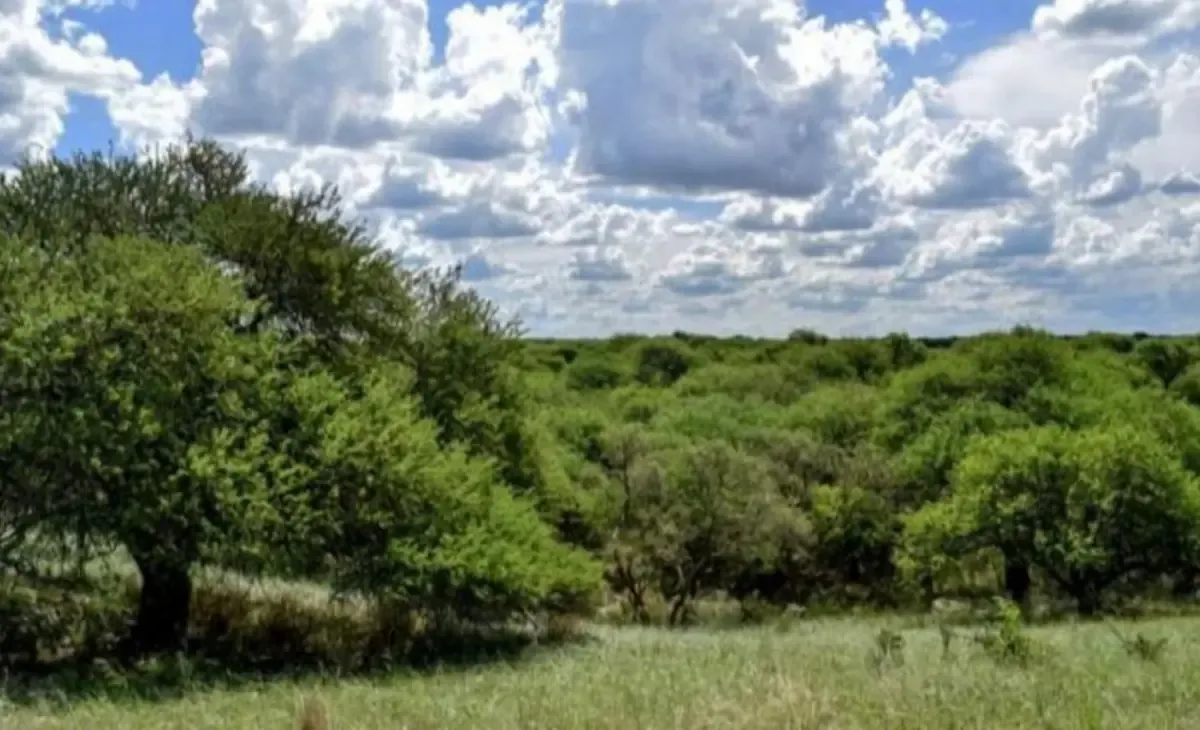 La propuesta busca regular la tenencia de tierras rurales ante la falta de normativa nacional.
