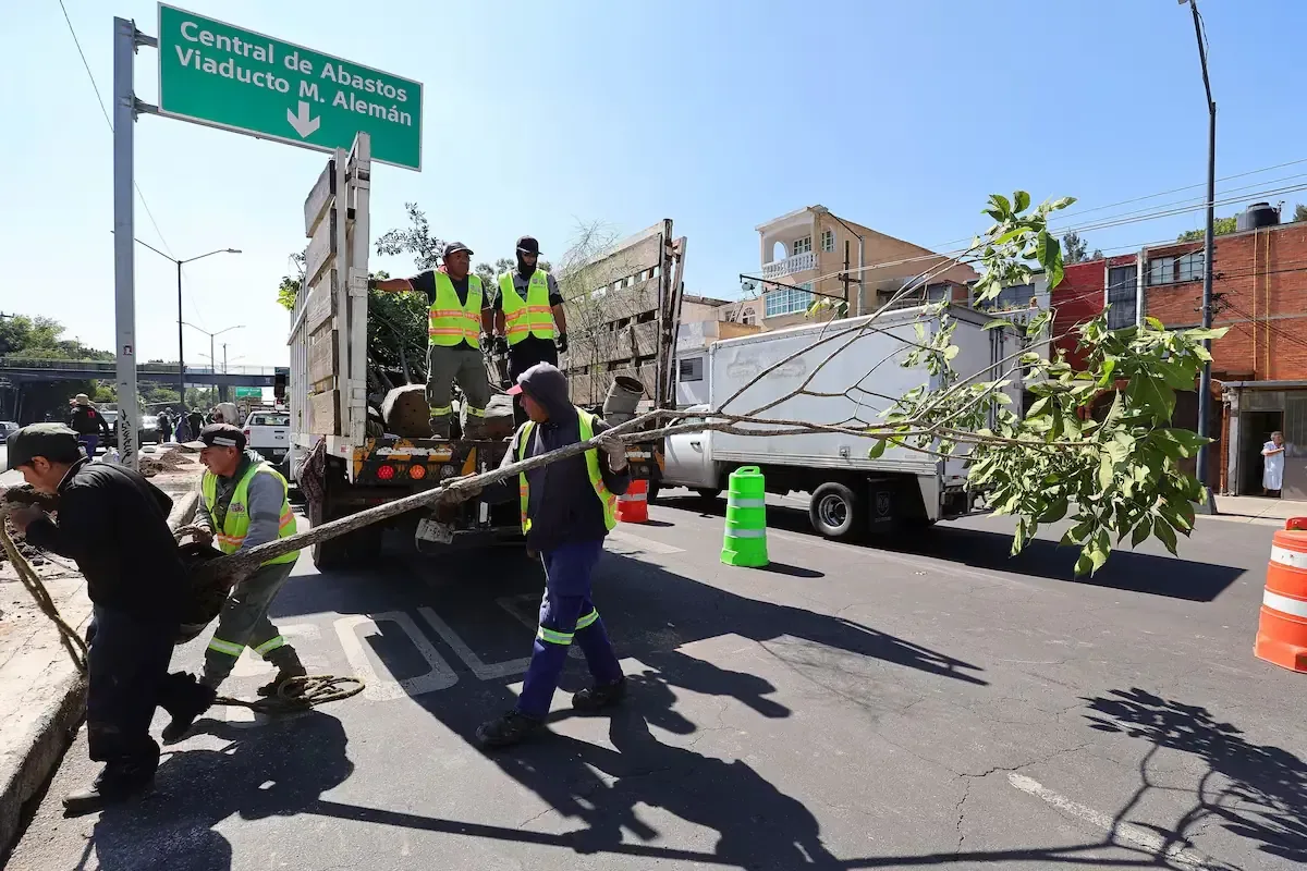 La ciudad enfrenta una grave desnutrición de árboles y altas temperaturas.
