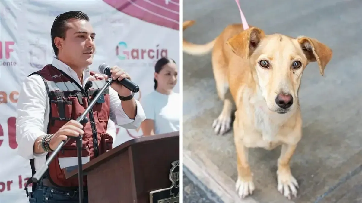 La iniciativa busca promover la adopción responsable y el bienestar animal en el municipio.
