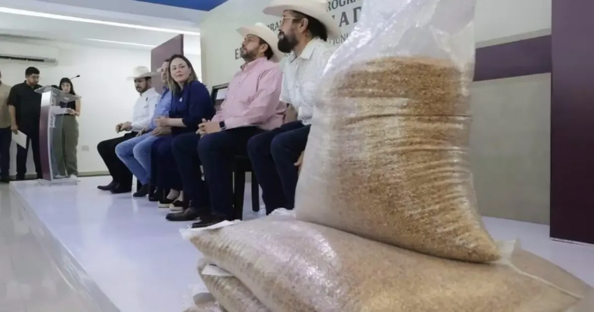 Entrega de semilla de sorgo beneficiará a más de 3,800 productores en la entidad.