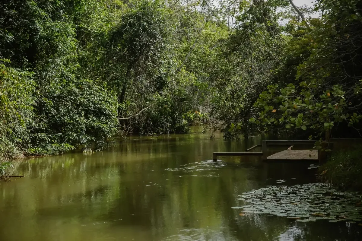 Activistas revelan altos niveles de contaminantes en agua doméstica y agrícola en Yucatán, poniendo en riesgo la salud pública.