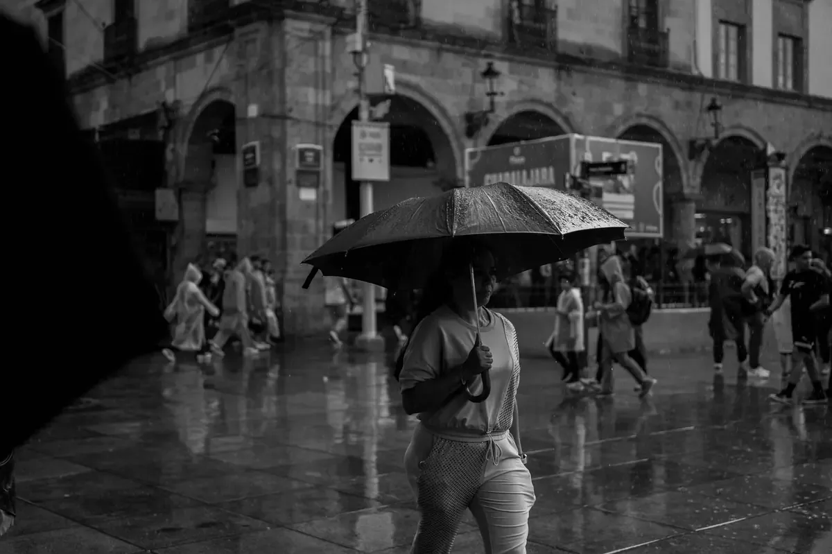El verano en Guadalajara trae consigo lluvias revitalizantes y una agenda musical llena de artistas internacionales.