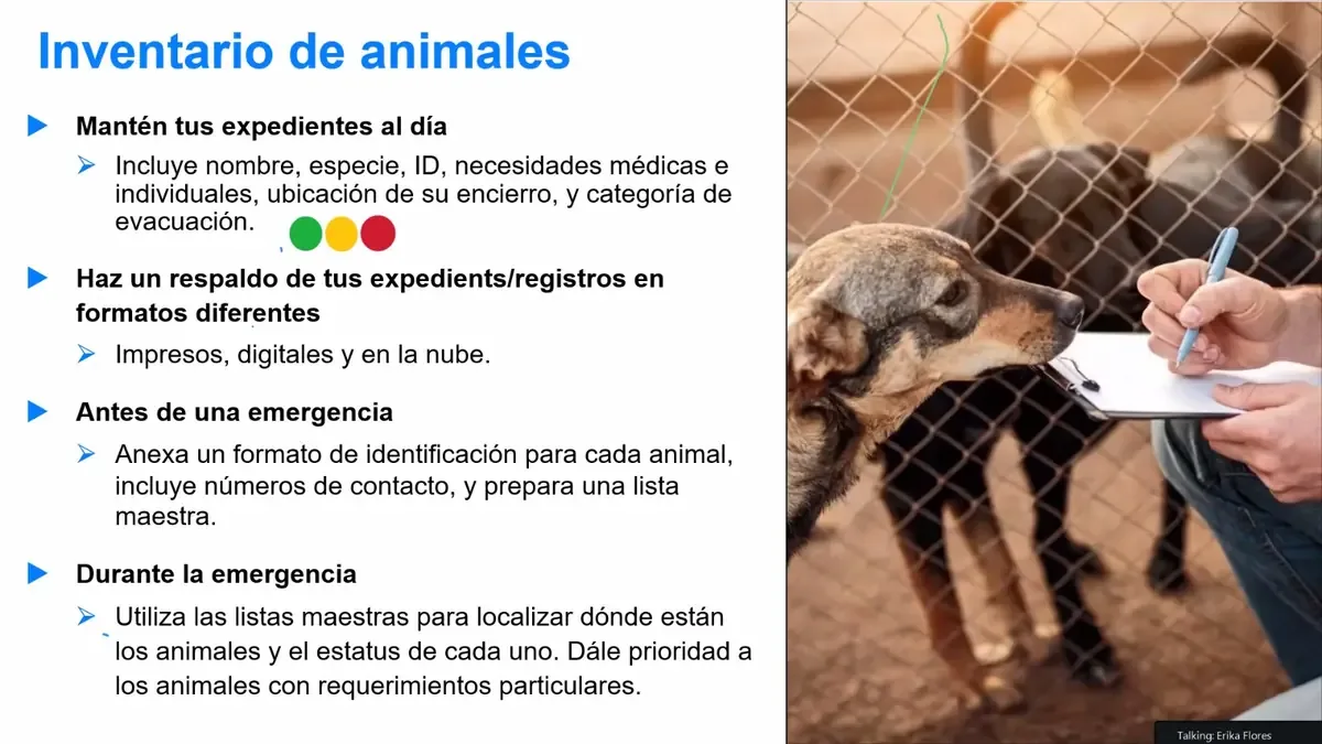 Más de mil participantes aprendieron sobre atención a animales en desastres por lluvias en Guerrero.