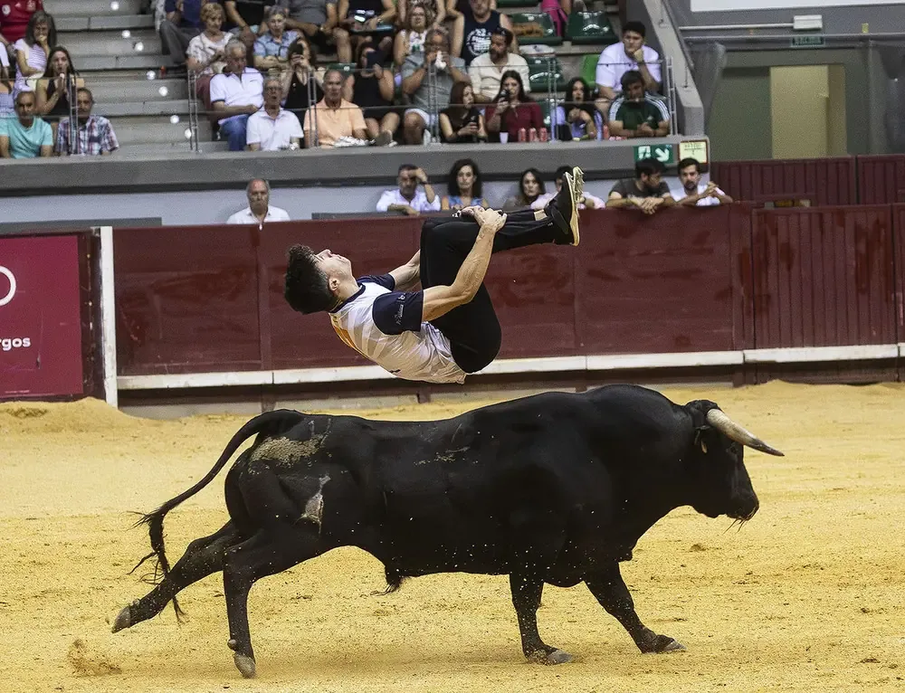 La feria taurina de Burgos se llevó a cabo sin Quino Monje, dejando una profunda huella en el ambiente.