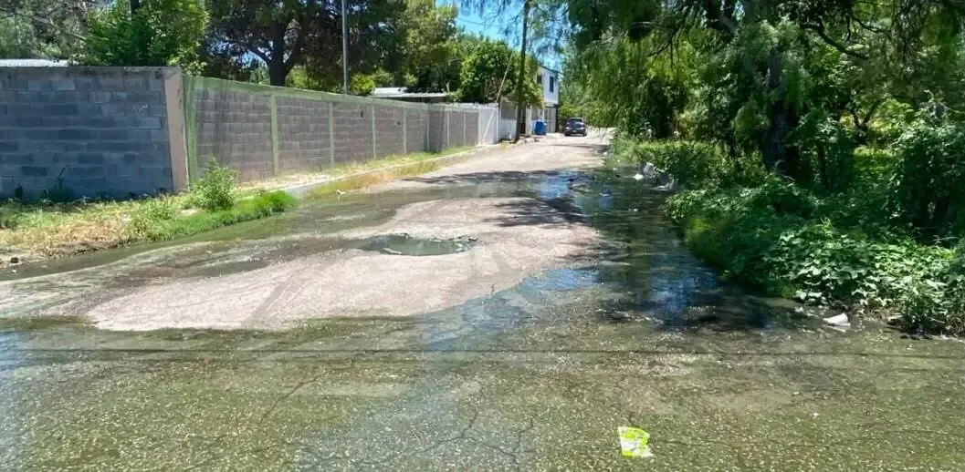 La situación insostenible en la colonia Altamira causa preocupación entre los vecinos por los riesgos sanitarios.