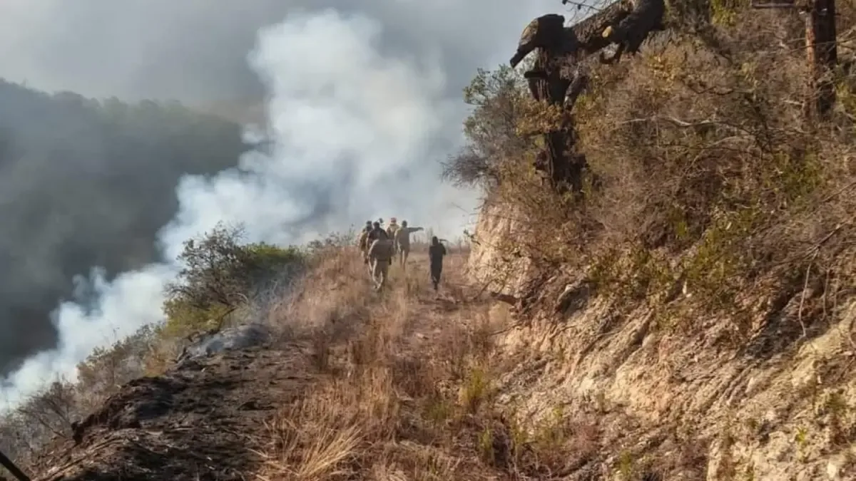 Habitantes de Vicente Guerrero piden ayuda para controlar el incendio forestal que amenaza zonas habitadas.