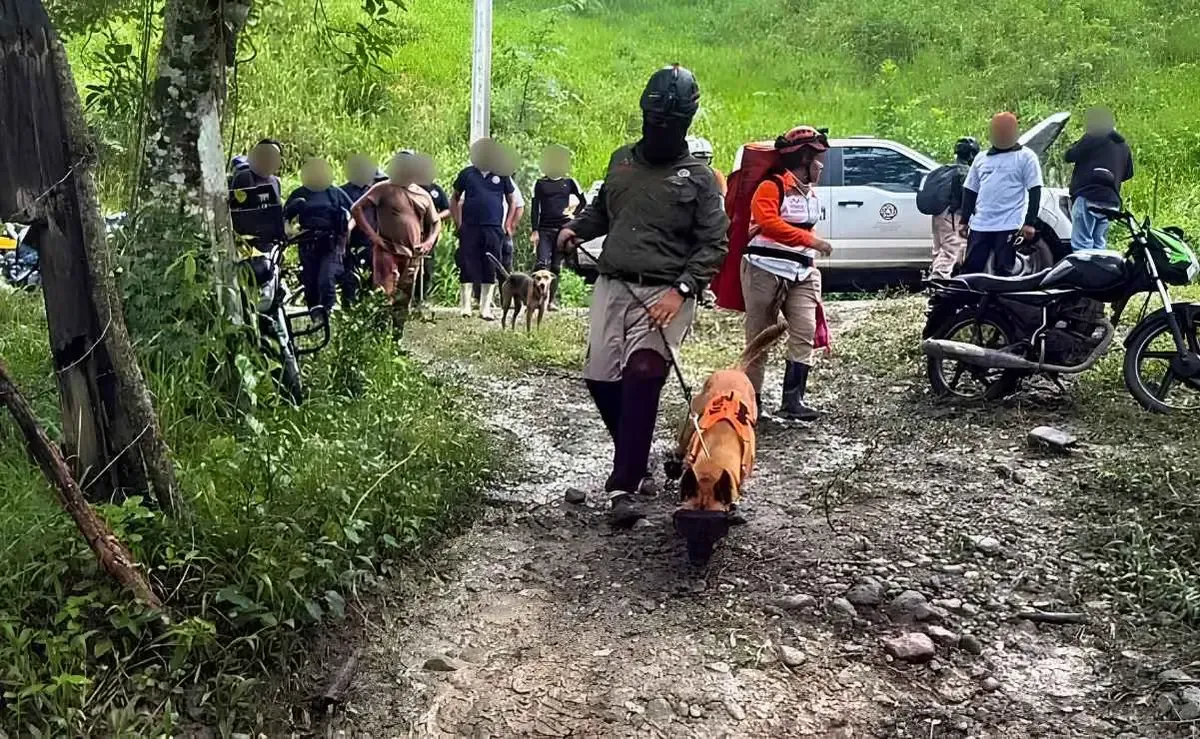 La desaparición de la menor y su abuela generó un amplio operativo de búsqueda por parte de autoridades.