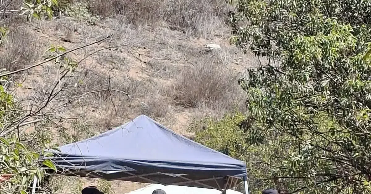 El descubrimiento resalta la necesidad urgente de buscar personas desaparecidas en la región.