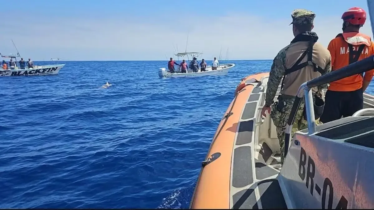 Un torpedo de prácticas fue recuperado por la Marina tras ser notificado por pescadores cerca de Ensenada.