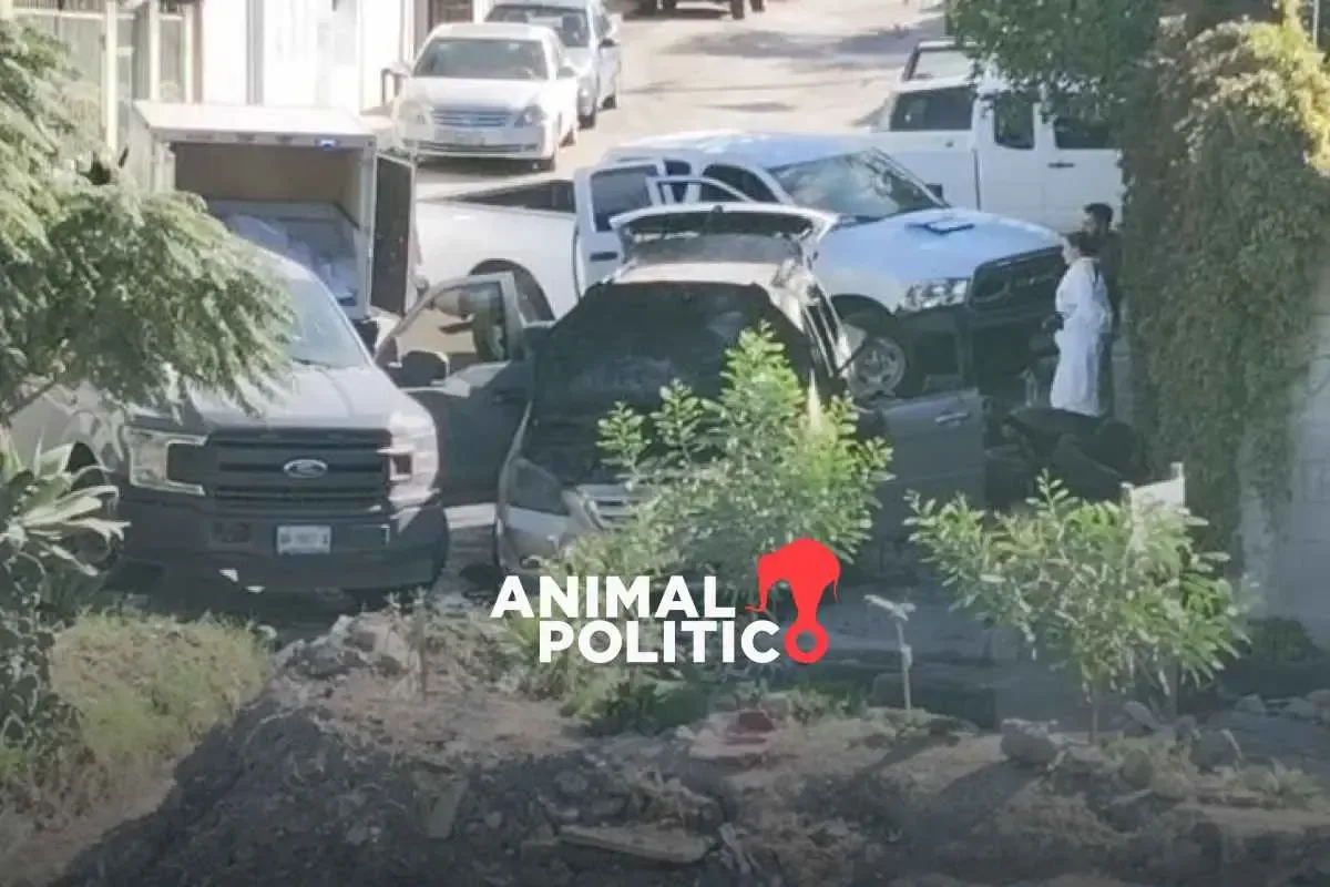 Hallazgo de 24 cadáveres en fosas clandestinas en Baja California.