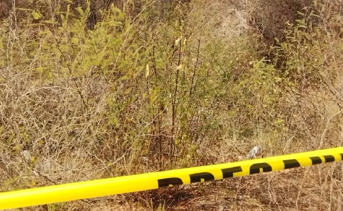 Hallazgos de cuerpos en fosas clandestinas en Mexicali elevan la preocupación.