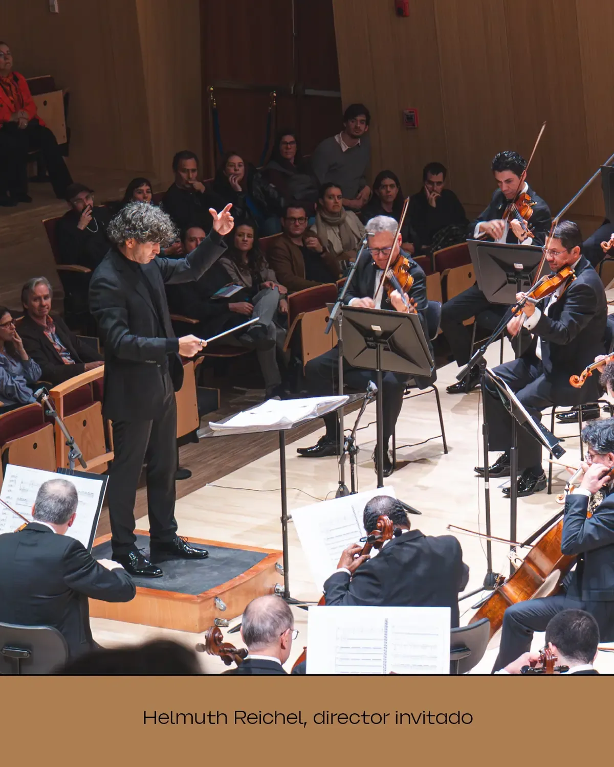 La Sinfónica Nacional de Chile presentará un programa musical variado los días 17 y 18 de julio.