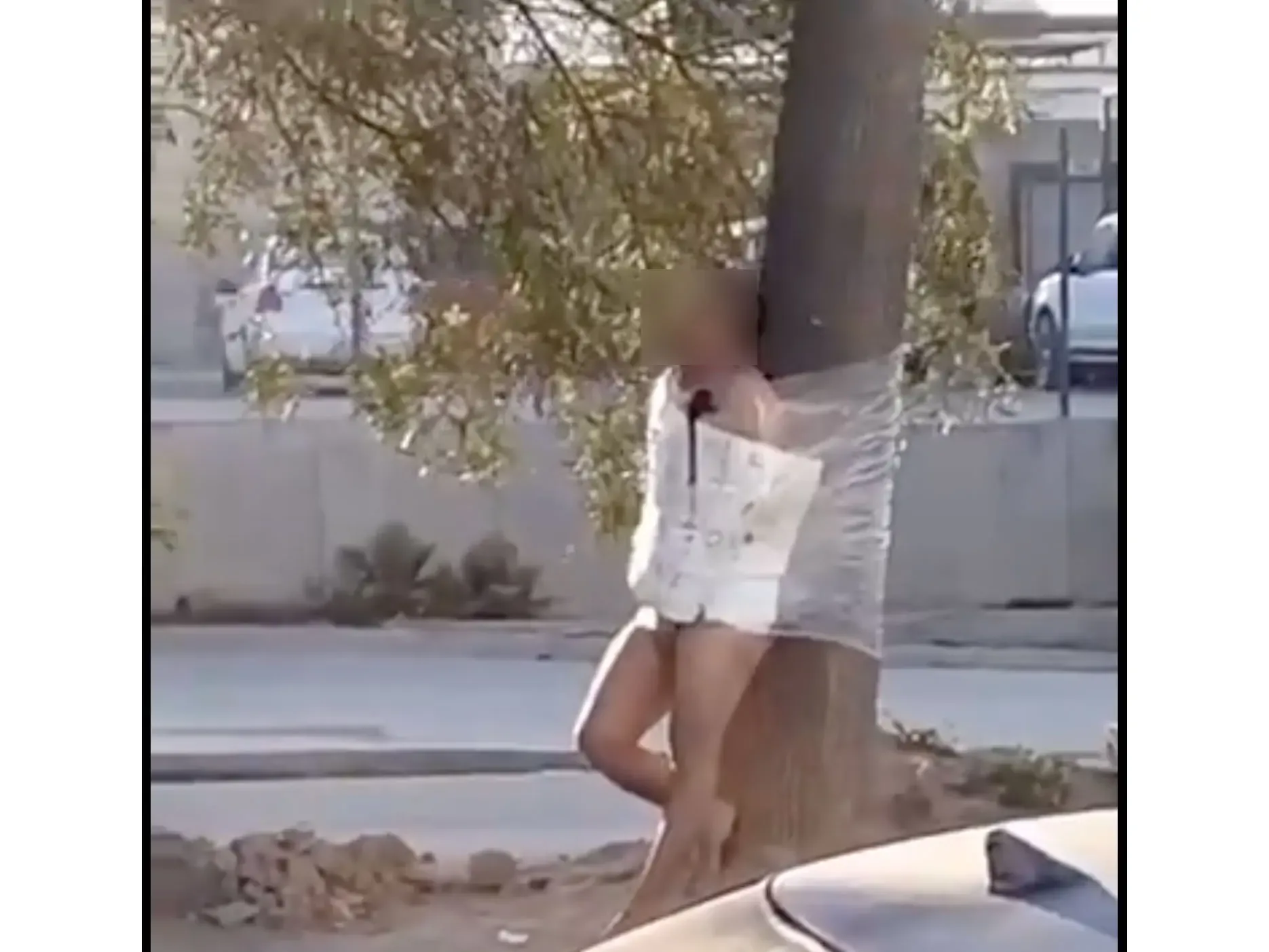 Hombre amarrado a un árbol en Tijuana, con mensaje que lo señala como "infiel".