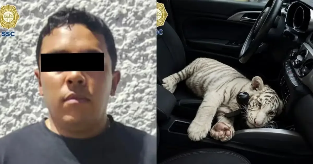La detención destaca la importancia de la legalidad en el transporte de especies silvestres.