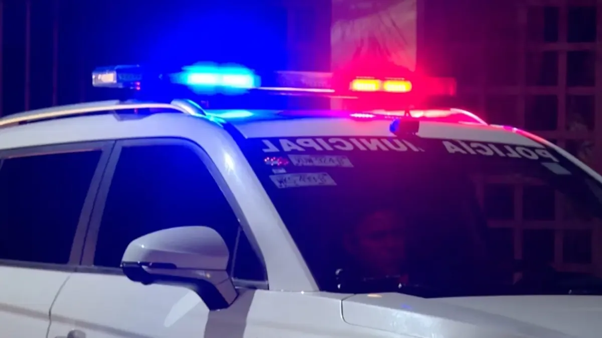 Un caso de violencia familiar culmina con la detención de un hombre tras un intento de secuestro de sus hijos.