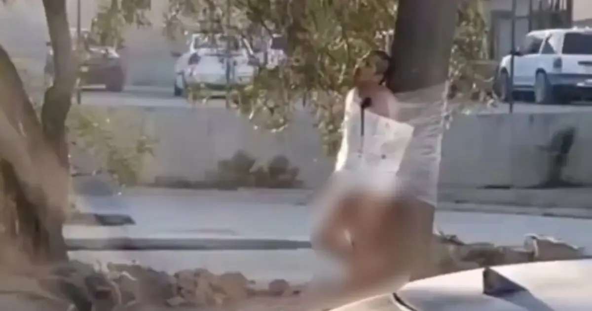 Hombre encontrado desnudo y amarrado a un árbol en Tijuana.