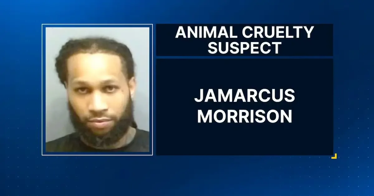 Un cuidador de perros fue arrestado en Atlanta tras presuntamente agredir y matar a un perro.