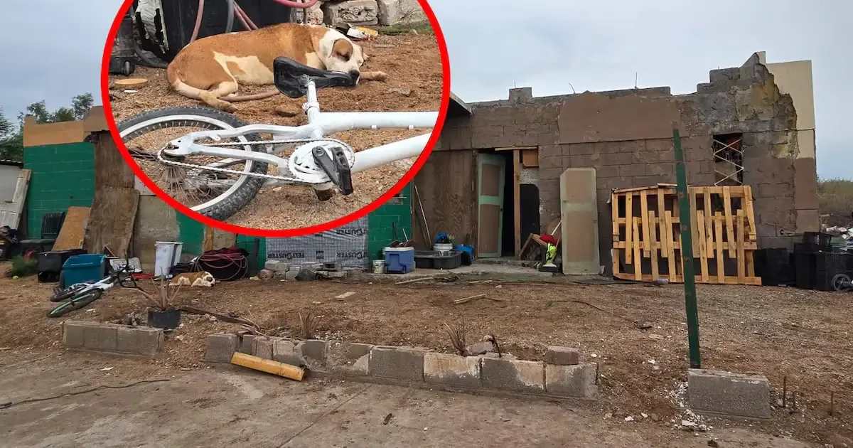 El intenso calor en Mexicali está causando emergencias y muertes, reflejando un serio riesgo para la salud pública.