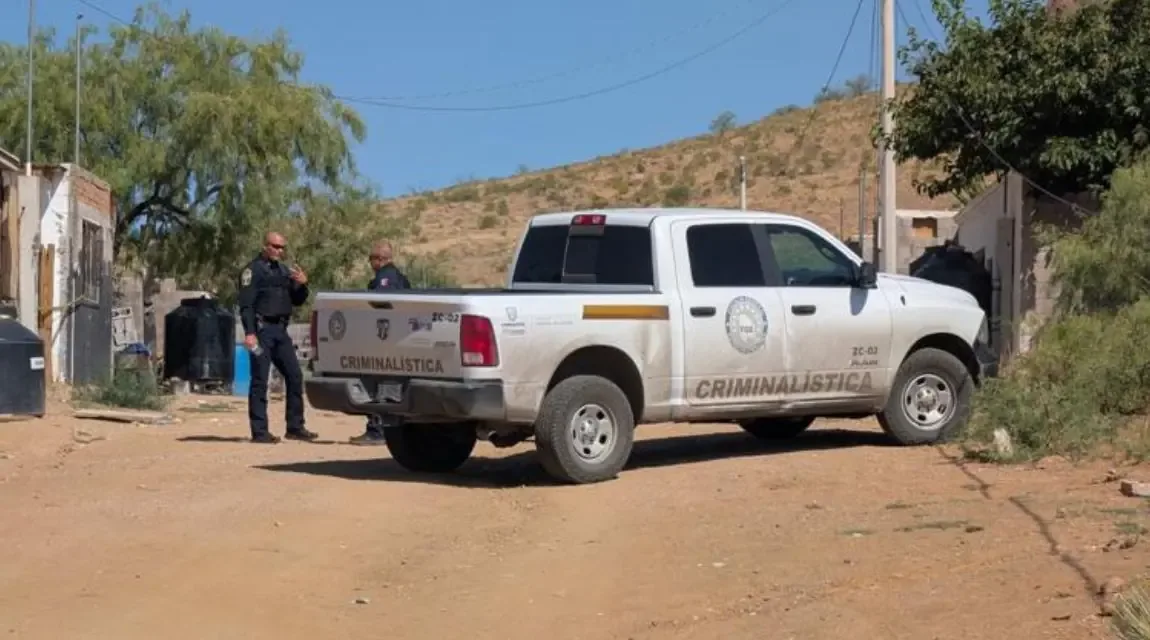 El descubrimiento en la colonia Ladrilleras Sur genera preocupación por la seguridad en la capital.