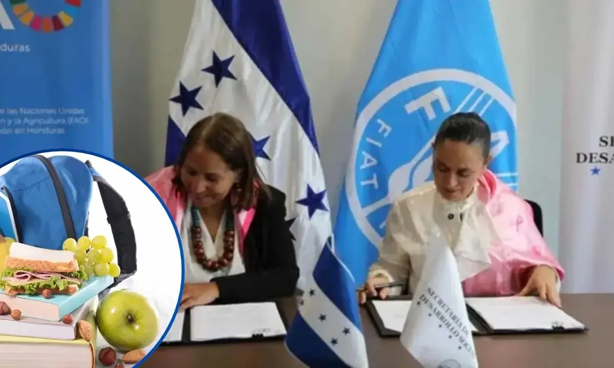 La iniciativa comenzará en noviembre de 2026 y busca mejorar la nutrición infantil en escuelas.