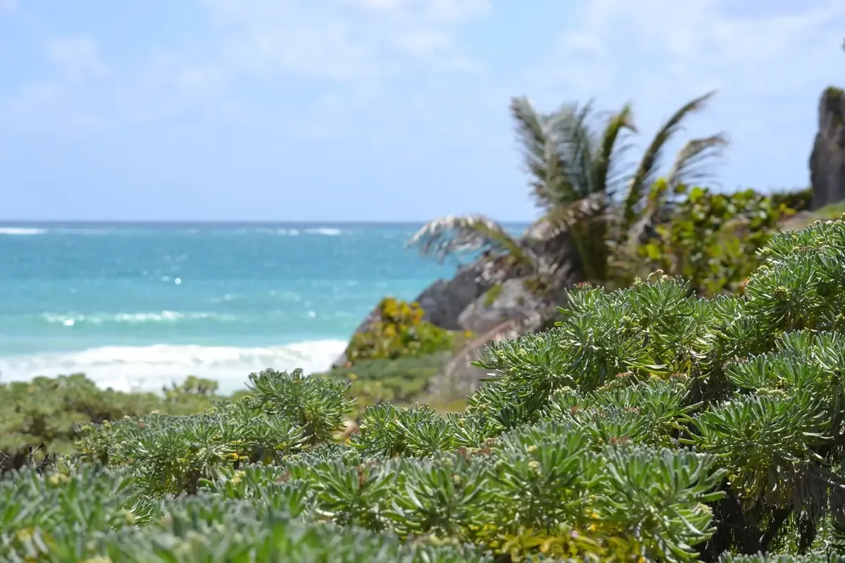 La industria hotelera busca acciones conjuntas para mejorar la situación de Tulum y asegurar su recuperación.