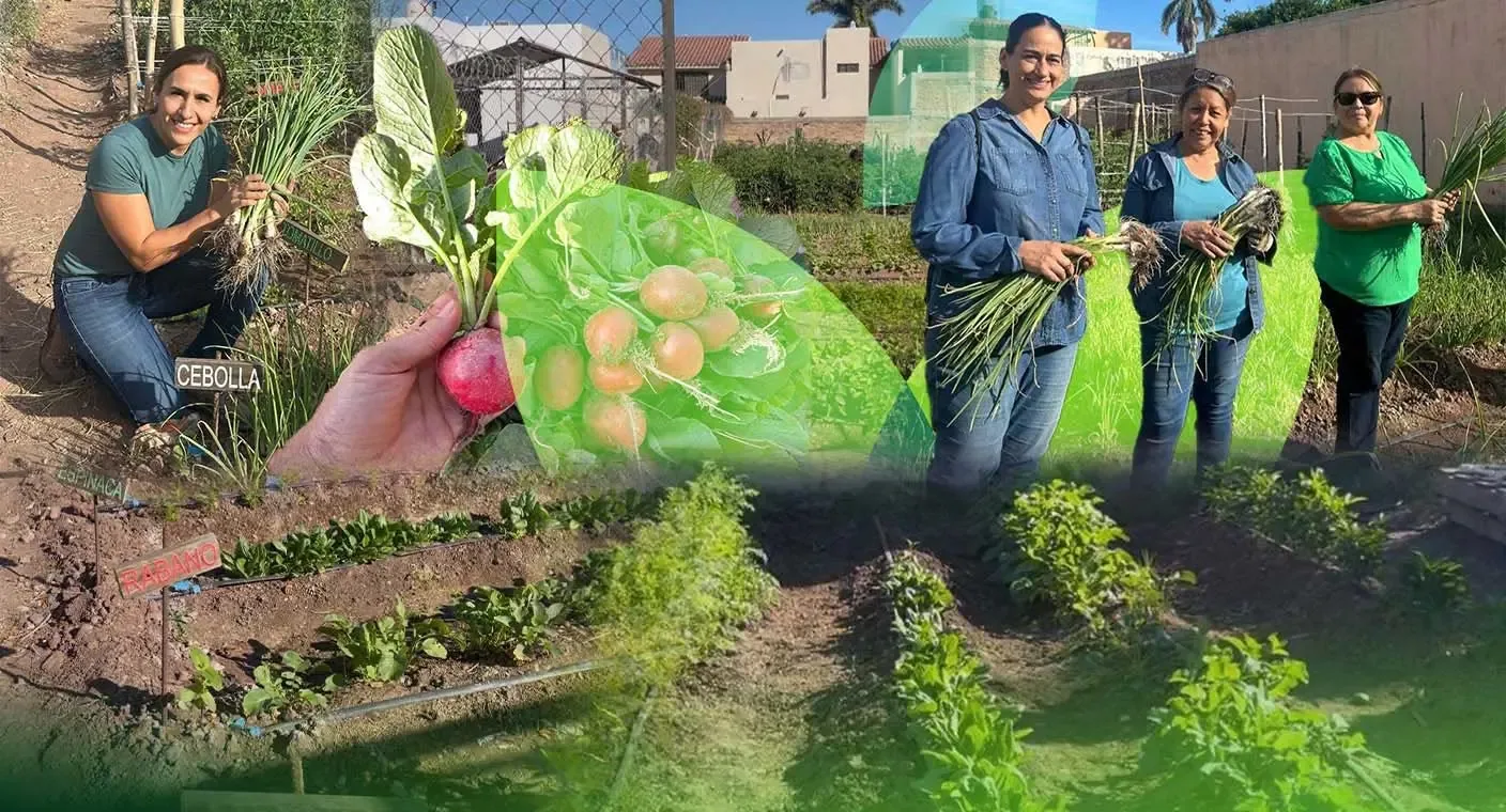 Huerto de la Cooperativa Jardinería del Yaqui en Cajeme, Sonora.