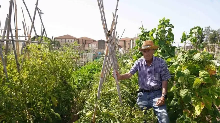 La Asociación de Amigos del Huerto Puerta revitaliza un área olvidada en Málaga, creando comunidad y promoviendo la agricultura ecológica.