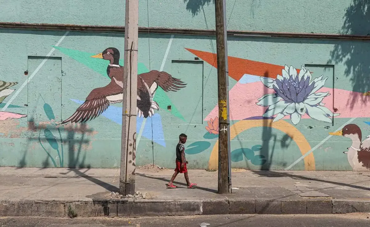 Autoridades y sociedad deben garantizar los derechos y la dignidad de los niños migrantes en el país.
