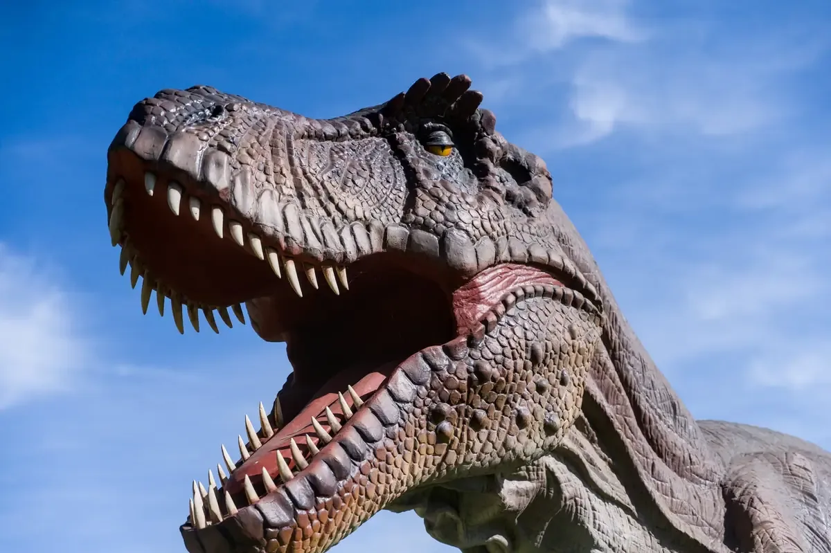Este hallazgo en Apatzingán amplia el conocimiento sobre la fauna prehistórica en México.
