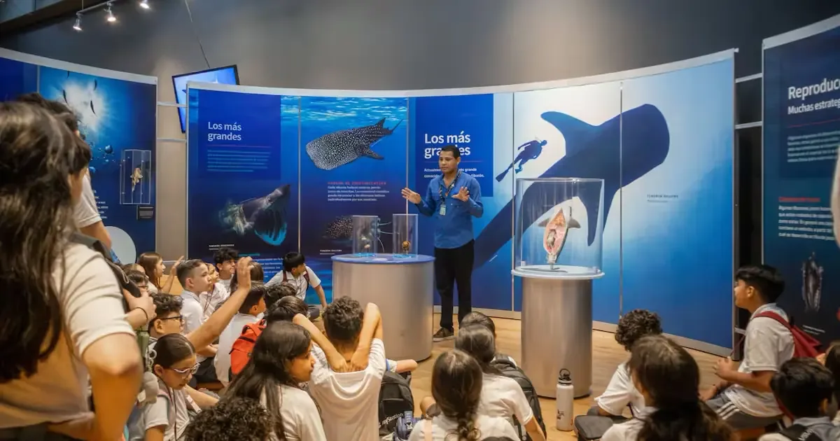 La muestra ofrece experiencias interactivas sobre tiburones y la conservación del medio ambiente.