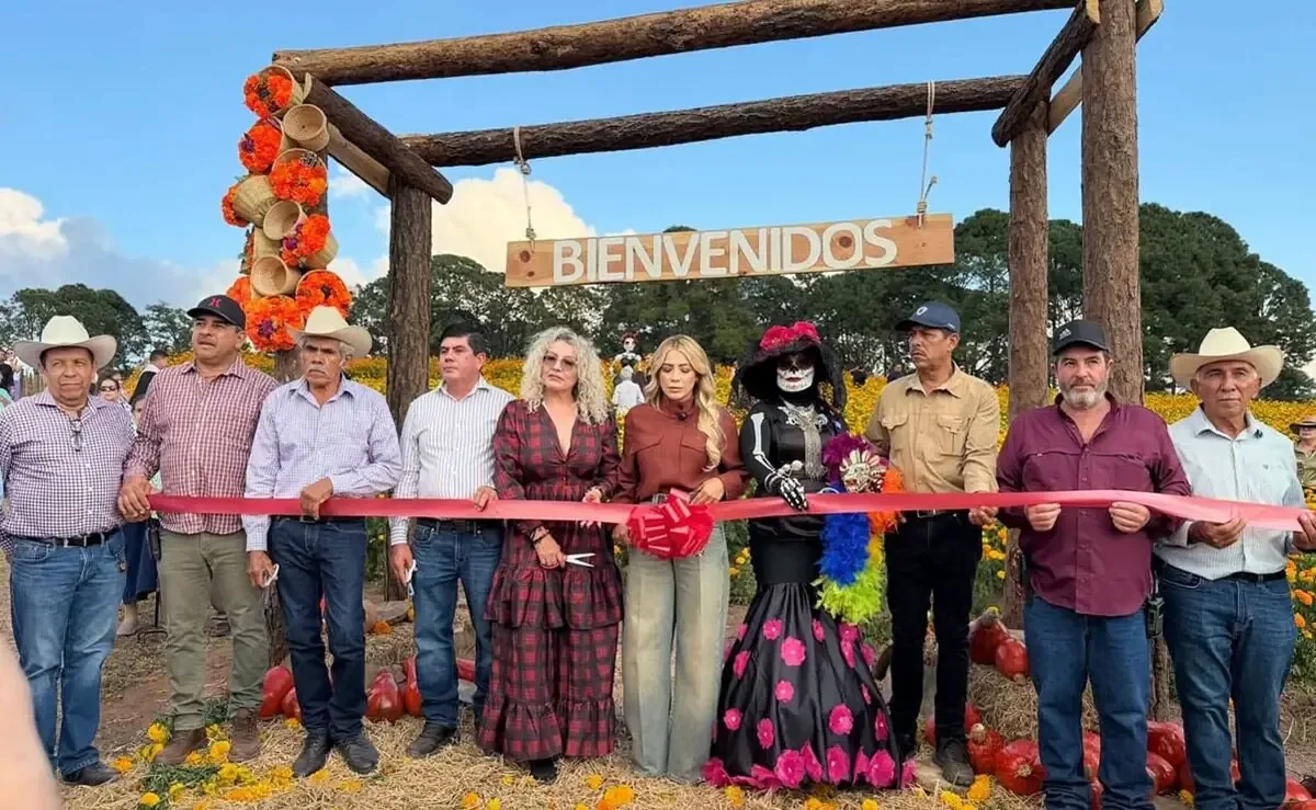 Este nuevo atractivo turístico busca impulsar la economía local en la sierra de Badiraguato.