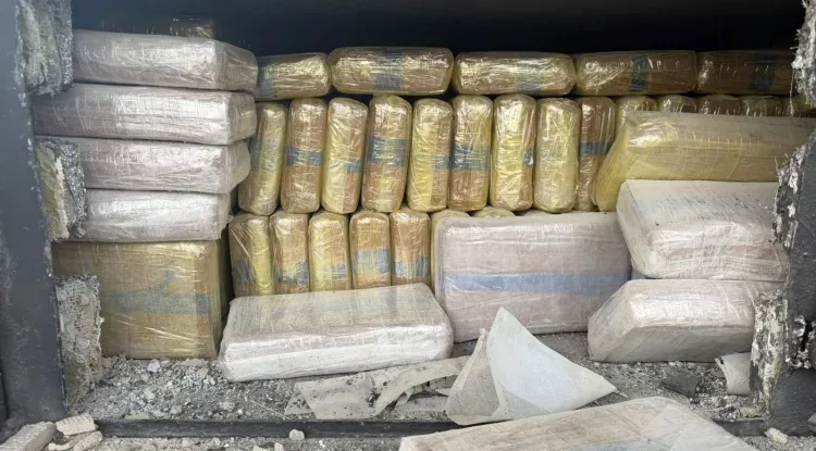 Incautación de droga en un operativo militar en Sonora.