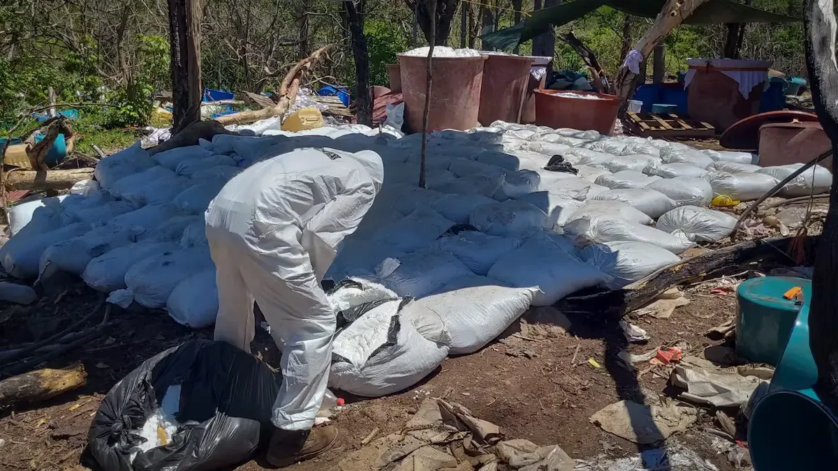 La incautación golpea a organizaciones del narcotráfico, previniendo daños a diversas comunidades.