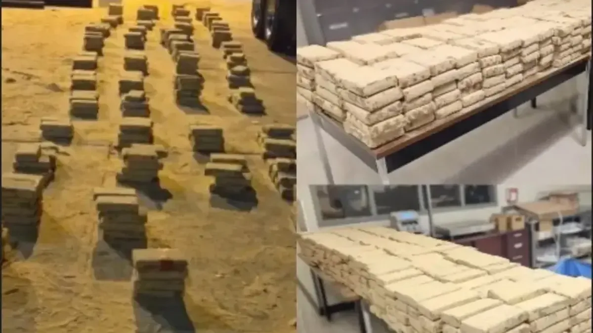 La Oficina de Aduanas y Protección Fronteriza interceptó un importante cargamento durante una inspección.