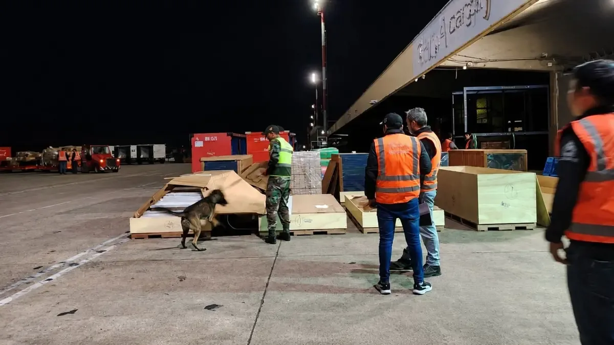 La carga fue detenida tras alertas de perros antidroga en el aeropuerto.