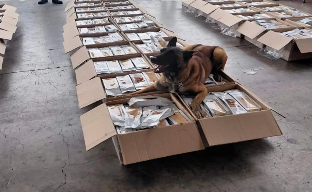 La detección de esta droga representa una importante acción contra el tráfico internacional de sustancias ilícitas.