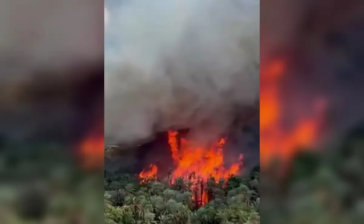 Un incendio en Mulegé pone en riesgo a las familias mientras se aproxima el huracán Polo.
