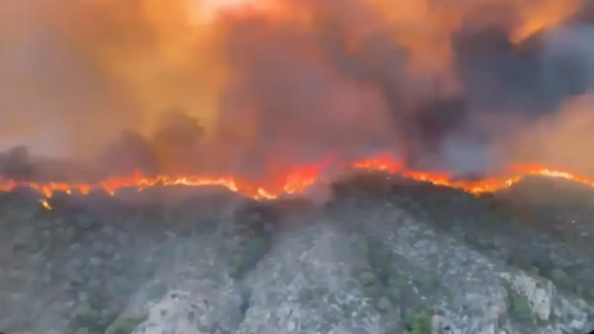 Un devastador incendio forestal afecta a Los Gallardos, donde la mayoría de las víctimas son turistas extranjeros.