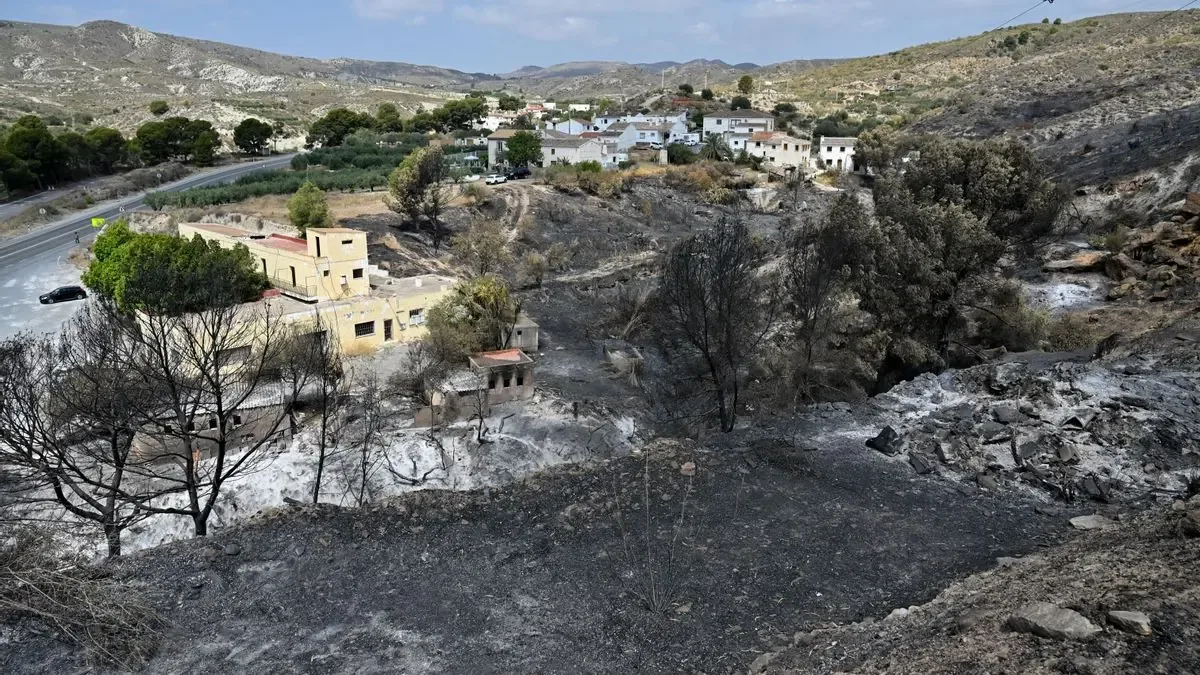 Municipios afectados organizan oficinas para coordinar la ayuda a damnificados tras el incendio que devastó 7,000 hectáreas.