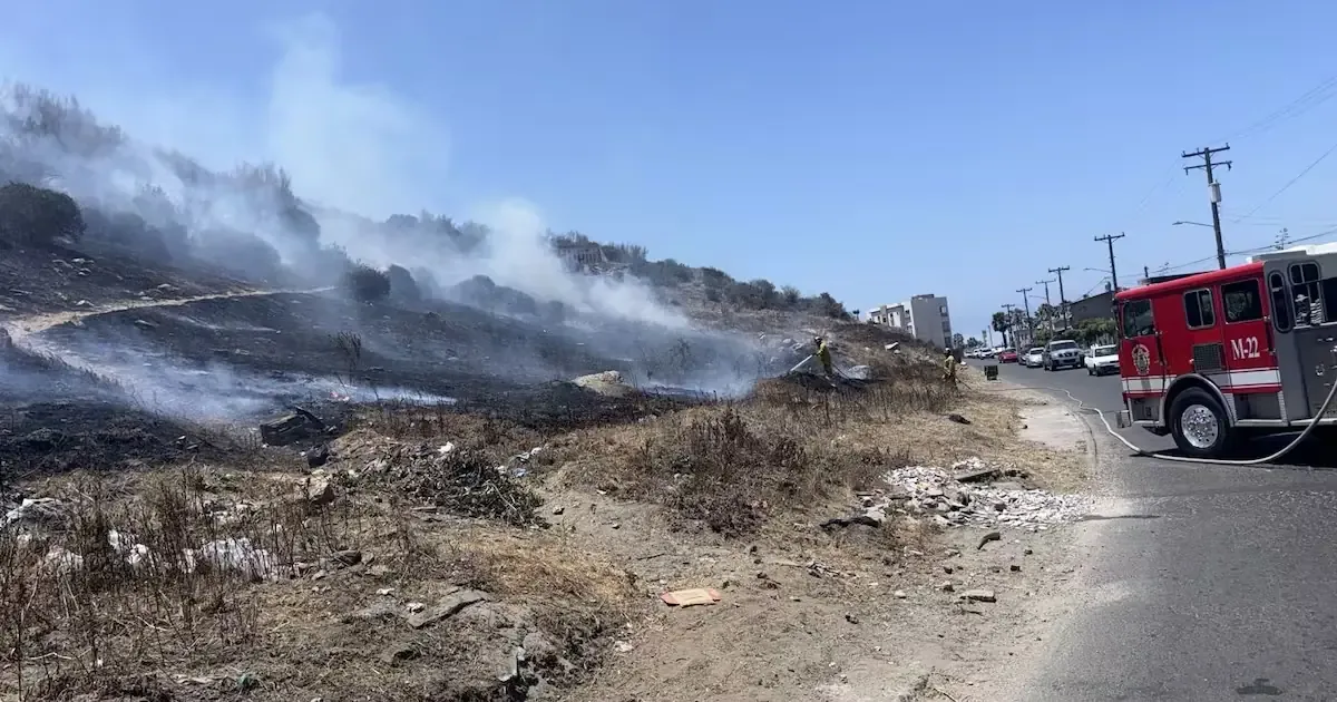 Un incendio forestal llevó a la evacuación preventiva de un plantel escolar en la zona.