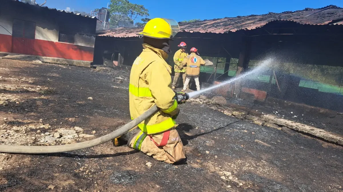 Un incendio arrasó una granja avícola en Fortín, generando pérdidas significativas en la producción avícola.