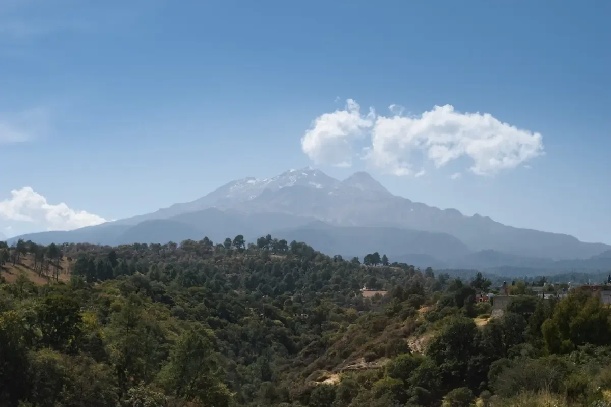 Un incendio forestal en Ensenada continúa bajo control parcial y sin reportes de afectados.